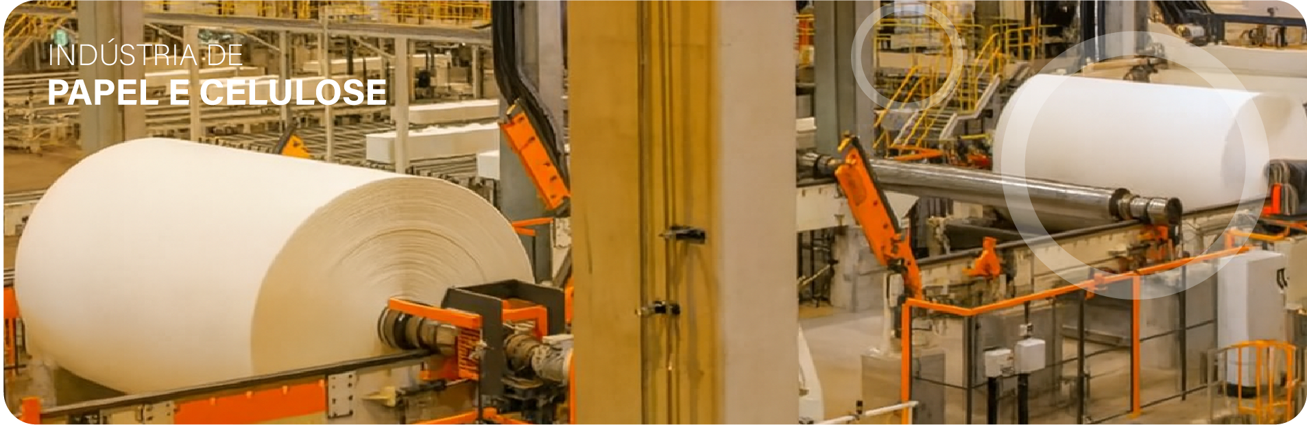 papel e celulose-01.png