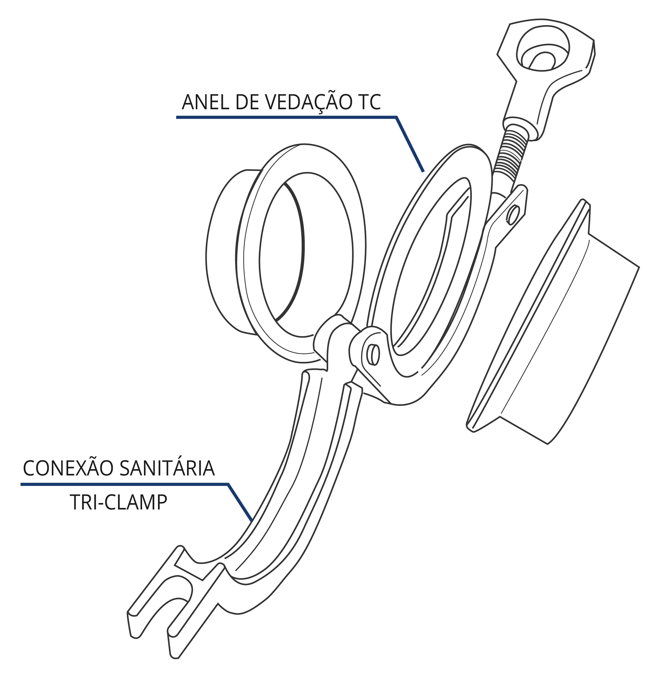 Conteúdo Técnico Modelo-03.png